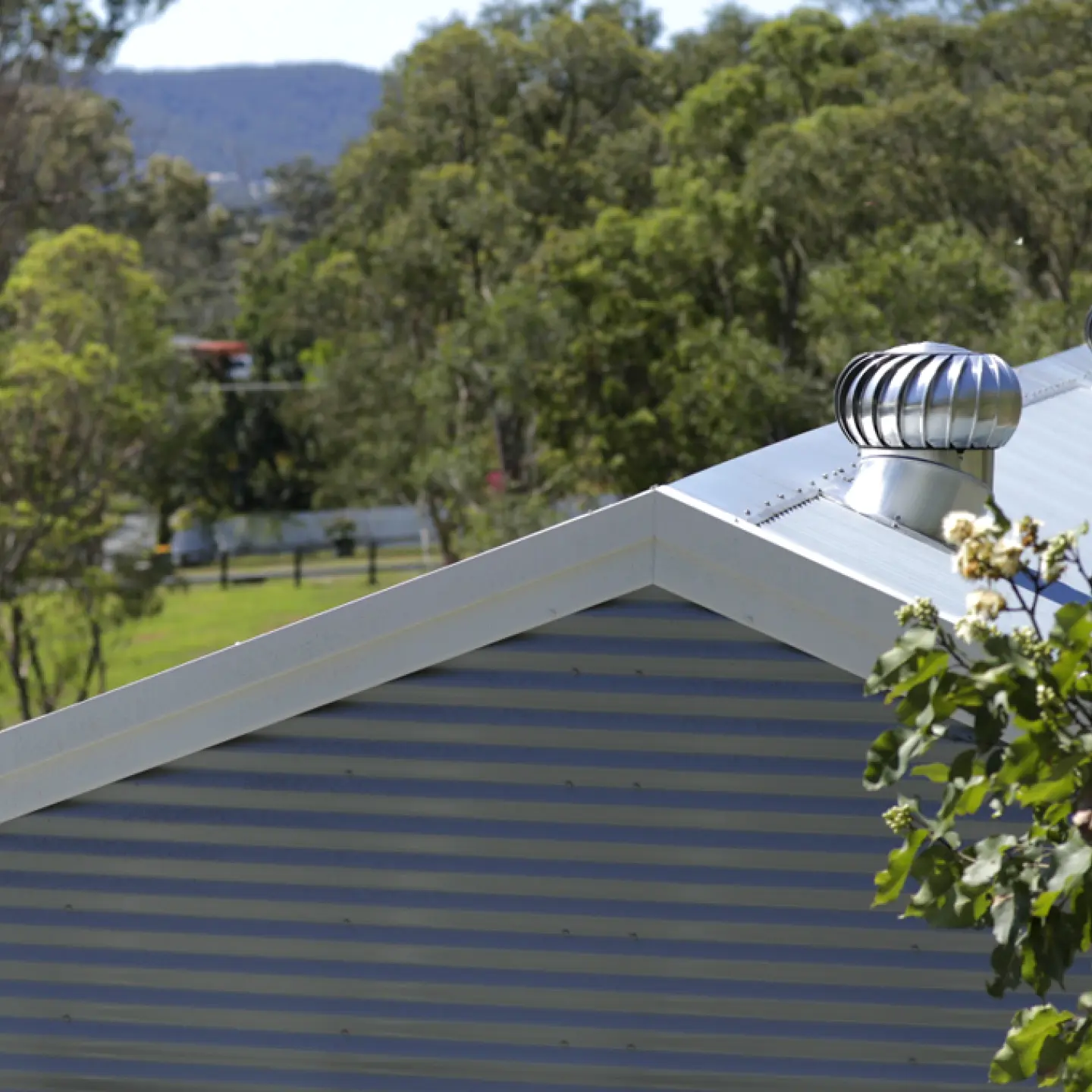 whirly bird shed